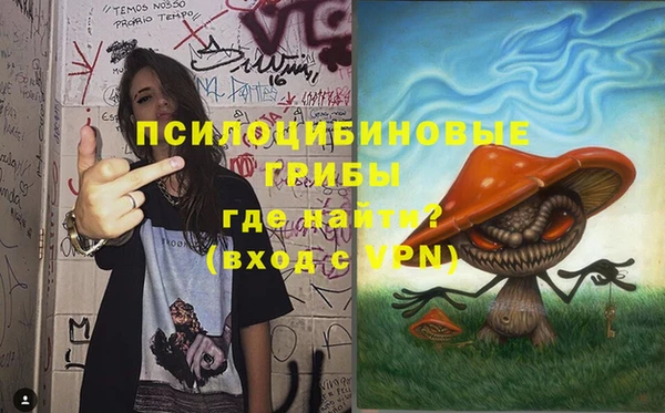 хмурый Болохово