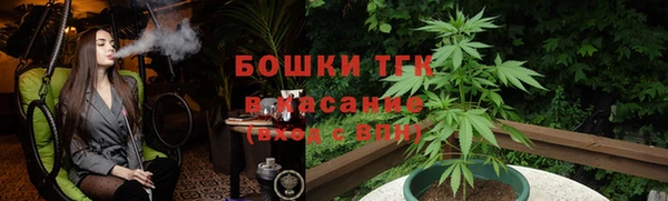 таблы Болотное